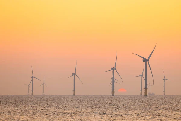 Campo Turbinas Eólicas Sobre Mar Noite — Fotografia de Stock