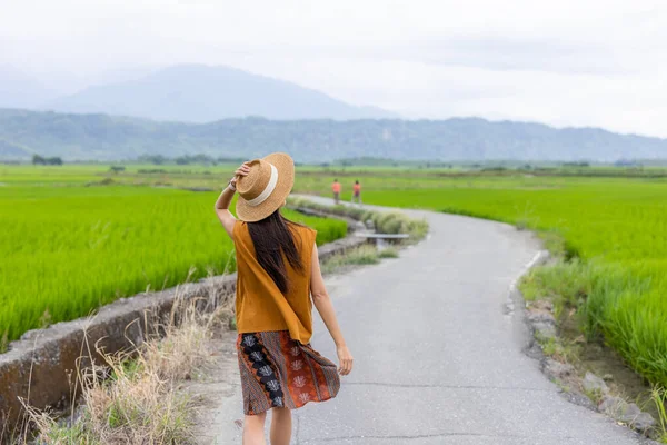 Travel Woman Enjoy Rice Field Τοπίο Θέα Στην Ύπαιθρο — Φωτογραφία Αρχείου