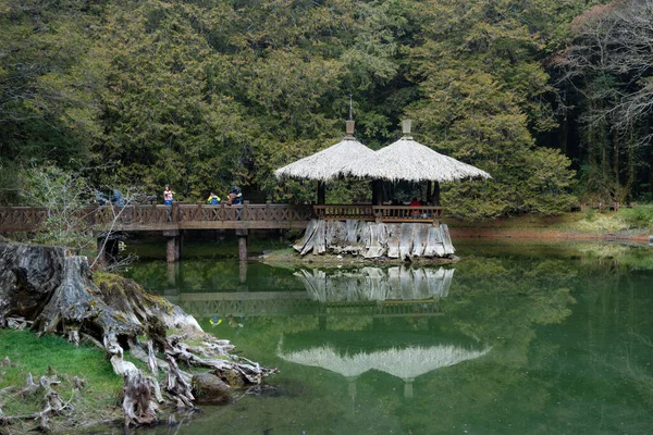 Sister Water Pond Alishan Forest — Stock Photo, Image