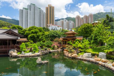 Nan Lian Garden 'daki geleneksel Çin bahçesi, Chi Lin Nunnery, Hong Kong