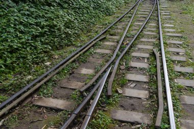 Alişan orman demiryolu Tayvan