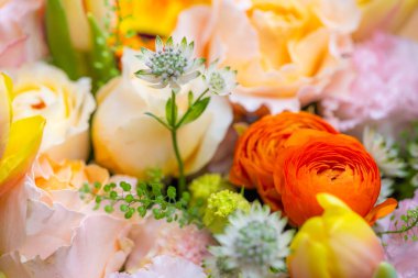 Set of flower box with different flower