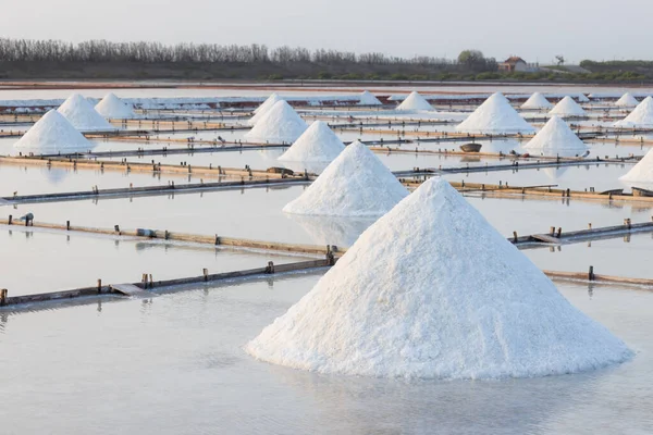 Jingzaijiao Kakel Asfalterade Salt Fält Tainan Taiwan — Stockfoto