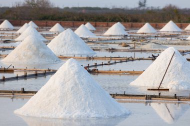 Jingzaijiao Tile paved Salt Fields in Tainan of Taiwan