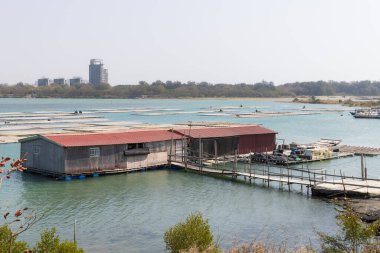 İstiridye çiftliği için balıkçı teknesi