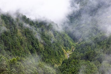 Dağların üzerinde bulut denizi