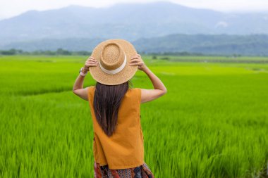 Gezgin kadın pirinç tarlası manzarasının tadını çıkarıyor.