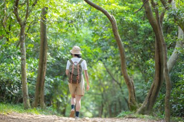 Yürüyüş yapan kadın yürüyüş yolunda yürüyor.