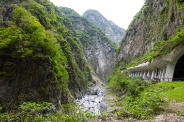 Hualien Taroko Gorge Shakadang 'da güzel yürüyüş parkuru.