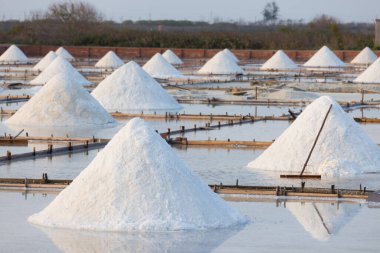 Jingzaijiao Tile paved Salt Fields in Tainan of Taiwan