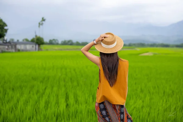 Travel Woman visit the rice farm