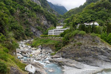 Liwu Nehri Vadisi ve Taroko Ulusal Parkı 'ndaki yüksek dağ yamacı.