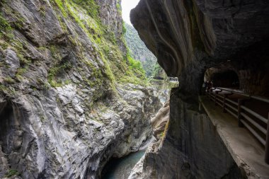 Hualien Taroko Gorge Shakadang 'da güzel yürüyüş parkuru.