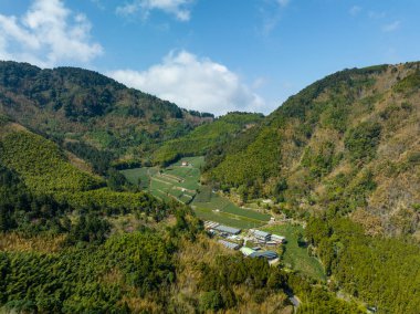 Tayvan Alishan 'daki Shizhuo Patikalarındaki dağdaki tarlanın havadan görüntüsü.