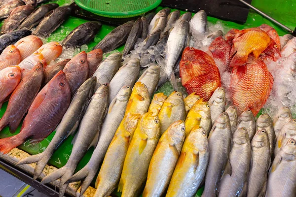 ぬれた市場で異なる魚を販売する — ストック写真