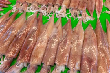 Islak pazarda taze mürekkep balığı satıyorum.