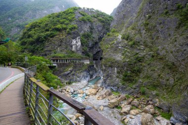 Liwu Nehri Vadisi ve Taroko Ulusal Parkı 'ndaki yüksek dağ yamacı.