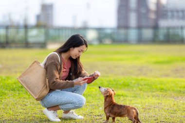 Kadın cep telefonuyla parkta köpeğinin fotoğrafını çekiyor.