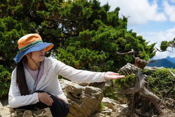 Escursionismo Donna Interazione Con Uccello Selvatico — Foto Stock