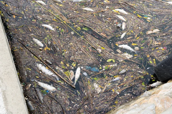 Meeresverschmutzung Mit Viel Müll — Stockfoto