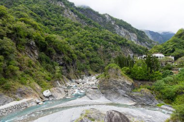 Liwu Nehri Vadisi ve Taroko Ulusal Parkı 'ndaki yüksek dağ yamacı.