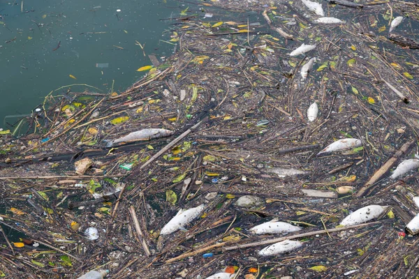 Poluição Mar Com Muitos Lixo — Fotografia de Stock