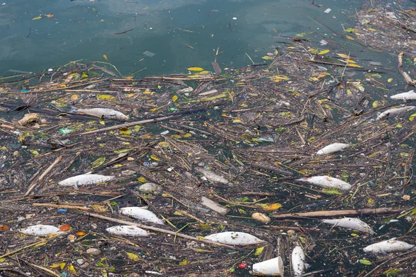 Meeresverschmutzung Mit Viel Müll — Stockfoto