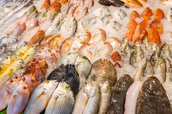 魚市場での氷の新鮮な生魚 — ストック写真