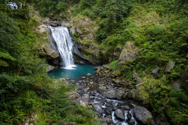 Forest waterfall in neidong national forest recreation area of taiwan