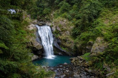 Tayvan 'ın Neidong Ulusal Orman Dinlenme Alanındaki Orman Şelalesi