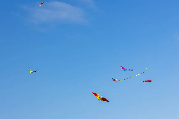 Kite Fly Blue Sky — Stock Photo, Image