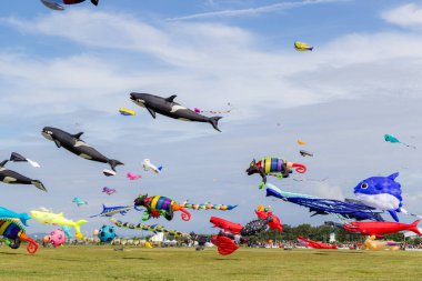 Hsinchu, Tayvan - 10 Eylül 2023: Birçok güzel uçurtma Hsinchu şehrinde parktaki uluslararası uçurtma festivalinde gökyüzünde uçuyor