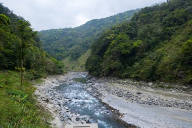 Tayvan 'ın Neidong Ulusal Orman Dinlenme Alanı