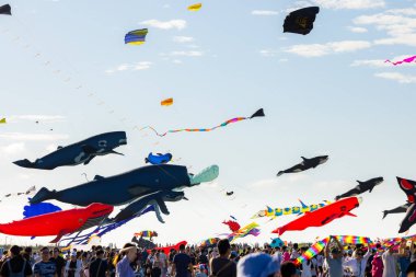 Hsinchu, Tayvan - 10 Eylül 2023: Hsinchu şehir uluslararası uçurtma festivali