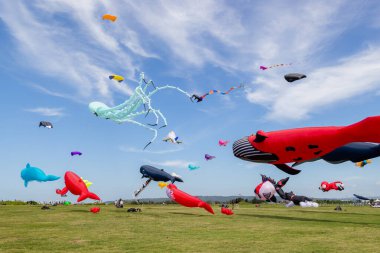 Hsinchu, Tayvan - 10 Eylül 2023: Birçok güzel uçurtma Hsinchu şehrinde parktaki uluslararası uçurtma festivalinde gökyüzünde uçuyor