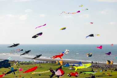 Hsinchu, Tayvan - 10 Eylül 2023: Hsinchu şehir uluslararası uçurtma festivali