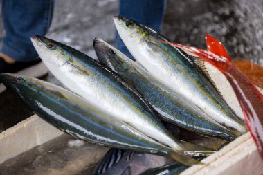 Taze ham warasa 'lar ıslak pazarda satılıyor.