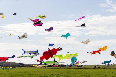 Hsinchu, Tayvan - 10 Eylül 2023: Hsinchu Şehri Uluslararası Uçurtma Festivali