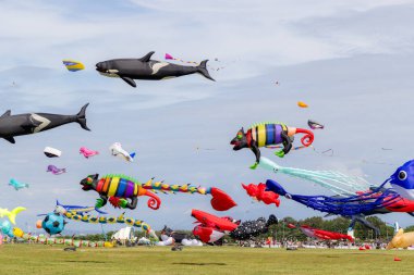 Hsinchu, Tayvan - 10 Eylül 2023: Birçok güzel uçurtma Hsinchu şehrinde parktaki uluslararası uçurtma festivalinde gökyüzünde uçuyor