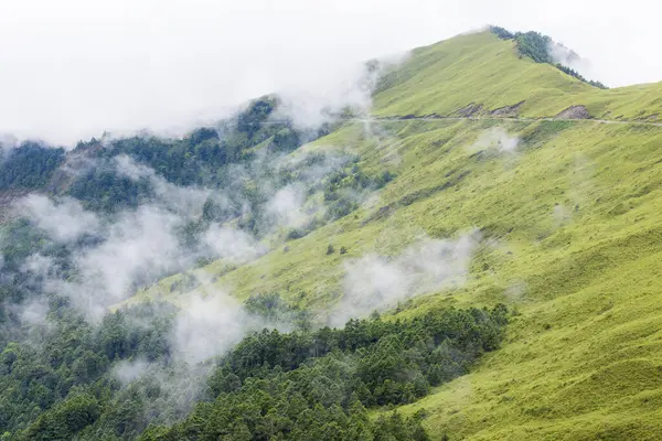 Niebla Sobre Montaña Hehuanshan — Foto de Stock