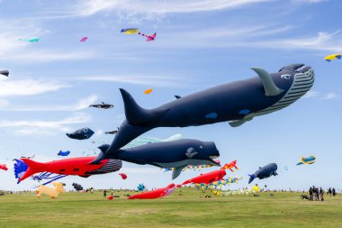 Hsinchu, Tayvan - 10 Eylül 2023: Hsinchu şehir uluslararası uçurtma festivali