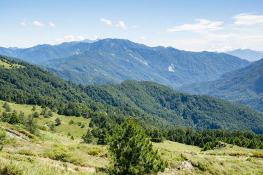 Tayvan 'daki Hehuanshan dağında yürüyüş yolu.
