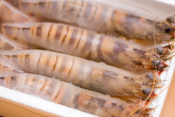 Frozen Shrimp Foam Package — Stock Photo, Image
