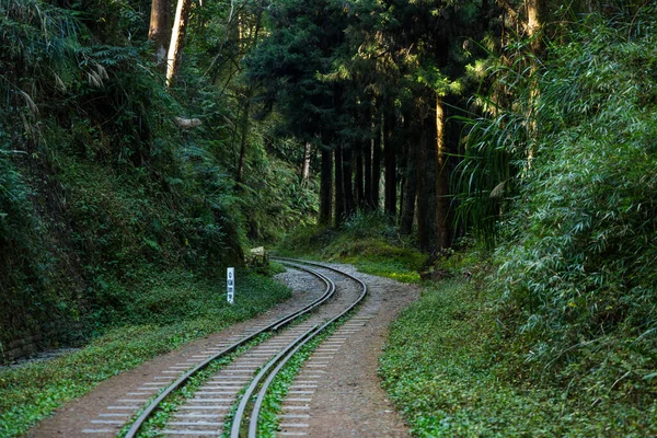 Σιδηροδρομικές Γραμμές Στο Εθνικό Πάρκο Alishan Στην Ταϊβάν — Φωτογραφία Αρχείου