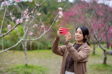 Kadın, Sakura ağacının fotoğrafını çekmek için cep telefonu kullanıyor.