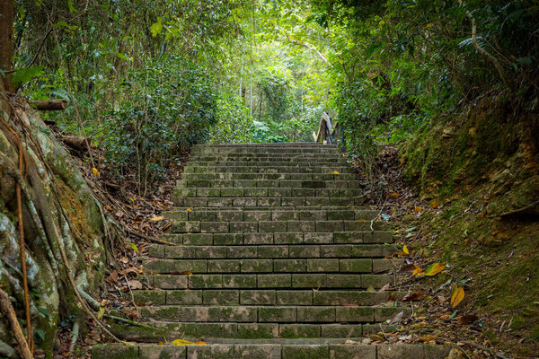 Пешеходная дорожка каменная лестница в лесу