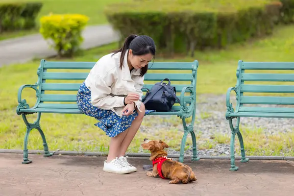 Woman feed snack with her dog at park