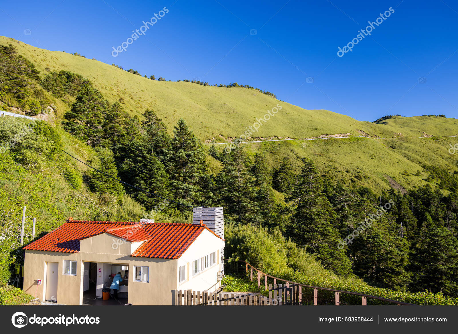 Taiwan July 2023 Hehuanshan National Forest Recreation Area Nantou ...