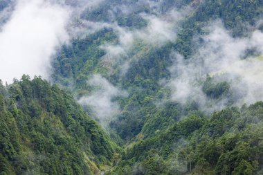 Hehuanshan 'daki dağın üstünden sisli