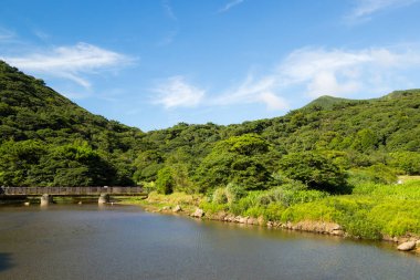 Güzel göl ve orman manzarası